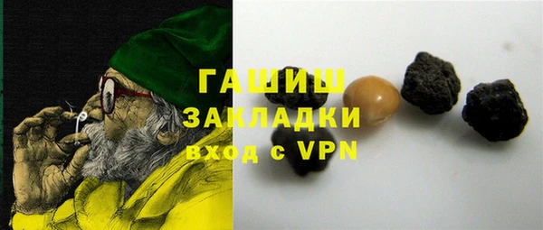 сатива Няндома
