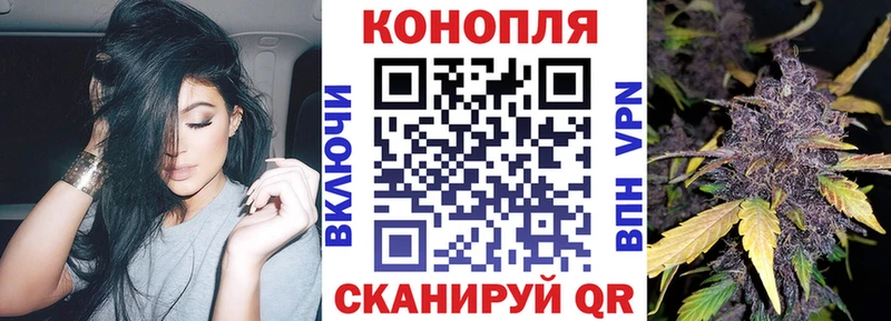 Каннабис индика Новоалександровск